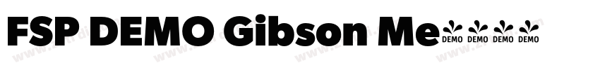 FSP DEMO Gibson Me字体转换 FSP DEMO Gibson Me字体转换